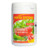 Phyto Système Acérola Vitamine C 100% naturelle - 30 gélules