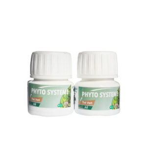 Phyto Système Thé vert & Ail - 60 gélules